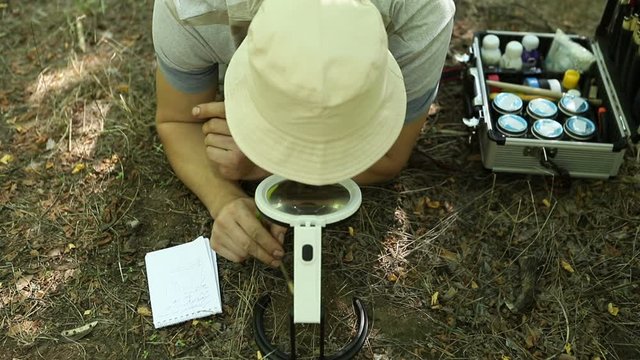 Caucasian entomologist studying a small anthill in the forest cheryl magnifying glass and take notes in his notebook, close-up
