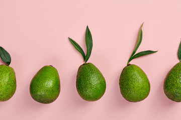 Avocado frame on color background