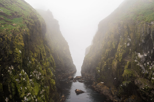 Foggy morning at Mykinesholmur hiking path above the fjord. Mykines, Faroe Islands.