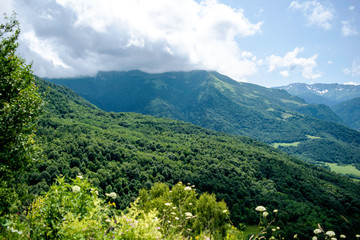 mountain landscape, mountains, green trees, valley, glaciers. Arkhyz, Karachay-Cherkessia, Russia