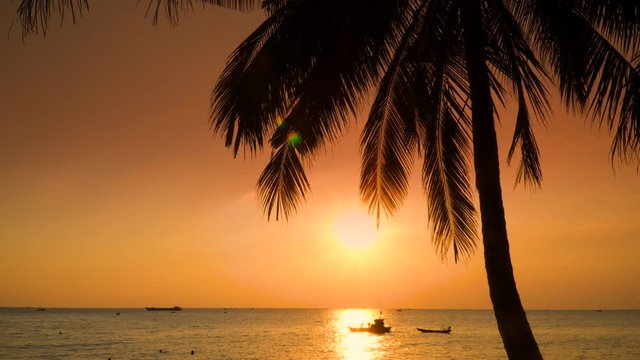 Orange Sky Silhouette Palm Tree Branch. Nature Sunset Beach Sea Tropical Island Palm leaves against the setting sun cinemagraph seamless loop