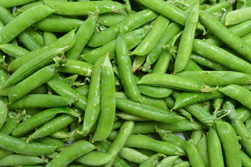 Fresh pea pods as background. Top view.