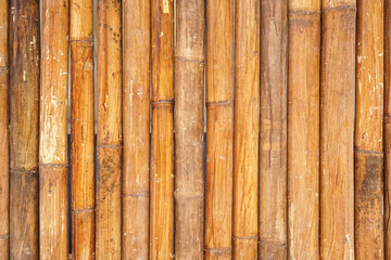 Brown bamboo fence background. Bamboo texture