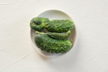 Ugly one cucumber. Concept organic vegetables. Close up.