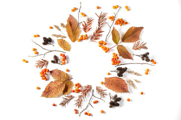 Autumn creative composition. Wreath made of leaves, cones and rowan on white background. Autumn, fall, halloween, thanksgiving day concept. Flat lay, top view, copy space