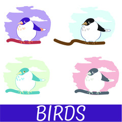  birds of different worlds vector illustration
