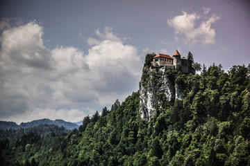Fototapeta na wymiar Chateau surplombant le lac de Bled en Slovénie