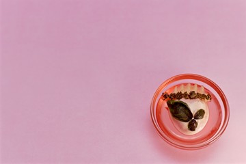 Originally decorated dessert of pink ice cream, red jelly, corrugated apple with chocolate chips and basil leaves. In the outlet on a pink background in the lower right corner.