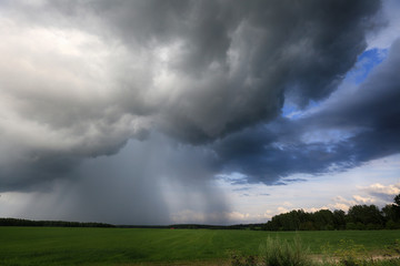 Fototapeta na wymiar Dark clouds with rain in the sky over the summer field
