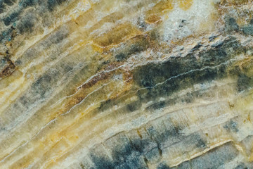 Fototapeta premium Natural piece of saw cut of petrified wood macro texture