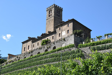 Fototapeta na wymiar The agricultural estate of the castle of Sarre and its vineyard in Aosta Valley - Italy