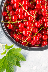Ripe red currant berries in a bowl close up. Fresh ripe red currant on light grey background