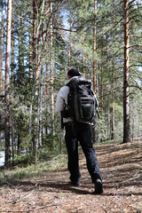 Naklejka premium A man is a tourist in a pine forest with a backpack. A hiking trip through the forest. Pine reserve for tourist walks. A young man a hike in the spring.