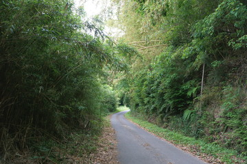 Obraz premium 田舎道