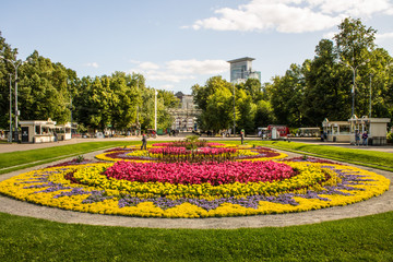 Fototapeta na wymiar Big beautiful flower bed in a public Park Sokolniki in Moscow, Russia on a summer day