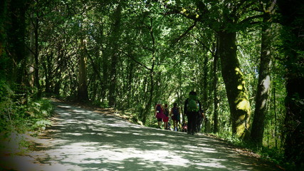 grupo de ocho peregrinos por el sendero del camino de santiago llegando a la aldea de aldea  furelos, la coruña  