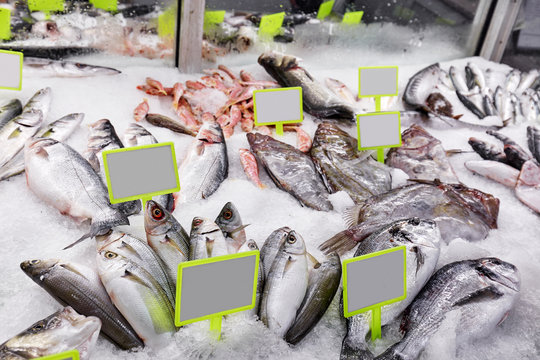 Fresh sea fish on ice and price tags on the market counter. Close up.