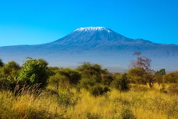 Acrylic prints Kilimanjaro  Africa. Amboseli Park