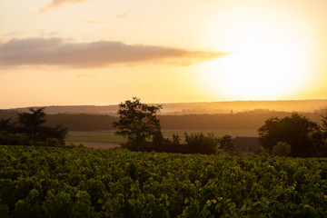 Levé de soleil en Anjou