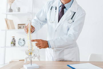 cropped view of doctor in white coat pointing with finger at spine model in clinic