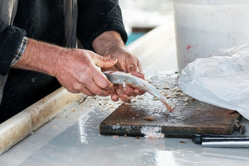 Worn hands of a fisherman cleaning fresh raw fish on a wooden cutting board over the counter