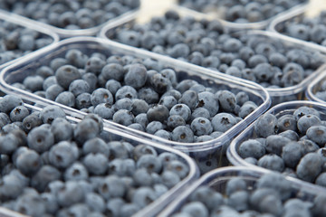 Fresh blueberries on the table at the farmer's market counter.