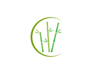  Bamboo with green leaf vector icon template