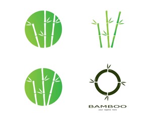  Bamboo with green leaf vector icon template