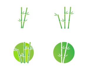 Bamboo with green leaf vector icon template