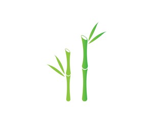  Bamboo with green leaf vector icon template