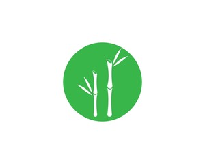  Bamboo with green leaf vector icon template