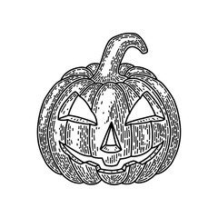 Halloween pumpkin isolated on white background. Old vintage style hand drawing engraved. Design element.