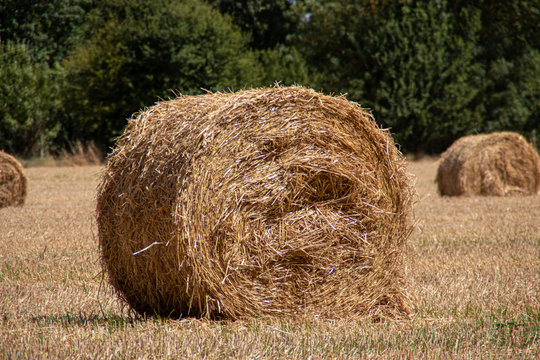 Meules Bilder Durchsuchen 493 Archivfotos, und Videos