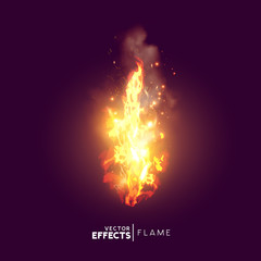 Realistic Fire Flame Vector © James Thew