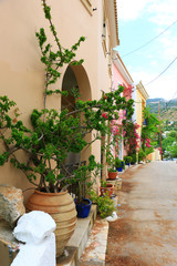 Naklejka premium traditional greek housedoor and flowers