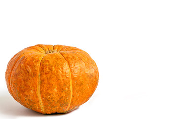 Orange pumpkins  on white background. Fall autumn haloween concept.