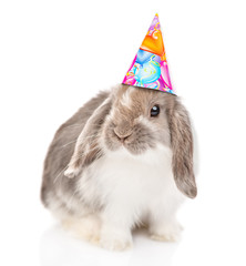 Gray rabbit  in birthday hat looking at camera. isolated on white background