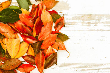 autumn fall flat lay, top view arrangement, colourful autumn leaves on white background, flat lay, top view, copy space