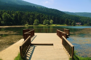 Obraz premium view of the lake