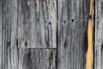 old wood texture of gray colors
