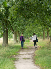 Fototapeta premium gardens and estate packwood house warwickshire england uk