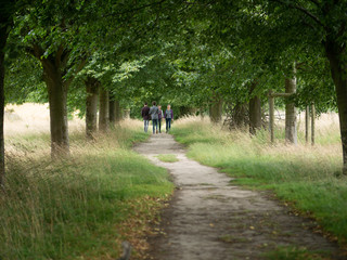 Obraz premium gardens and estate packwood house warwickshire england uk