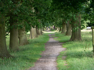 gardens and estate packwood house warwickshire england uk