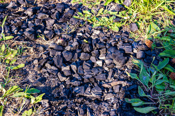 Black coal scattered on the surface of the earth.