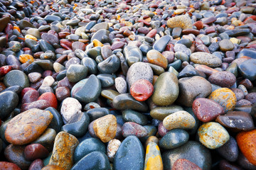 Close up view of beautiful pastel colored wet pebbles at the seashore