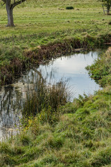 gardens of estate charlecote park warwickshire england uk