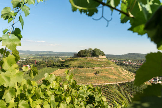 Burg, Weinberg,