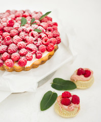 Raspberry cake against white background and cupcakes