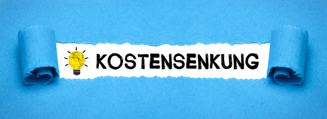 Kostensenkung