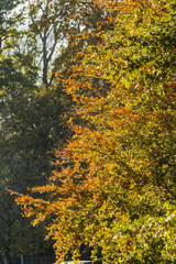 gardens of estate charlecote park warwickshire england uk